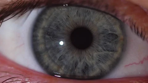 Macro shot of the contraction of the gray pupil of the human eye in slow-motion 스톡 동영상 171592178