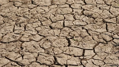 Macro shot of cracked ground due to scarcity of water Vídeo Stock 151903891