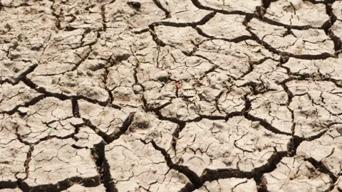 Macro shot of cracked ground due to scarcity of water Video stock 151904398