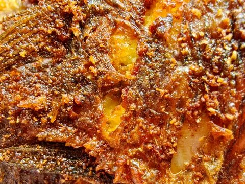Macro Shot of Crispy Fried Fish Skin Texture and Seasoning Фото