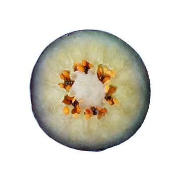 Macro shot of cut blueberry isolated on white background with clipping path. Stock Photos