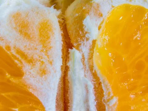 Macro shot of a cut of orange pulp Stock Photos
