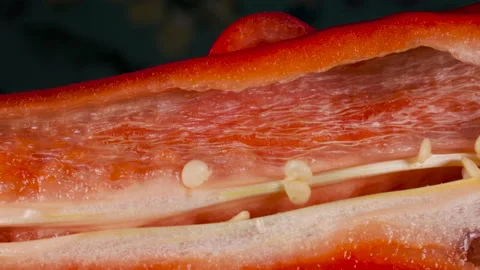 Macro Shot Into Cut Sliced Red Chilli Pepper With Water Droplets.. Close-up e 스톡 동영상 152981776