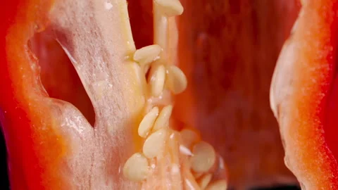 Macro Shot Into Cut Sliced Red Chilli Pepper With Water Droplets.. Close-up.. Stock-Footage 318458643