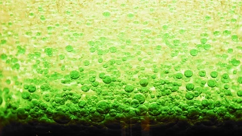 Macro shot of dark green bubbles setting on ground of water with a bright Video stock 124671008