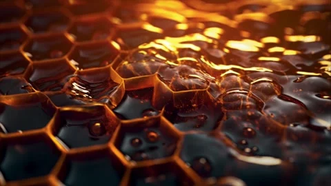 Macro shot of delicious honey inside a beehive show the hexagon patterns 動画素材 243165411