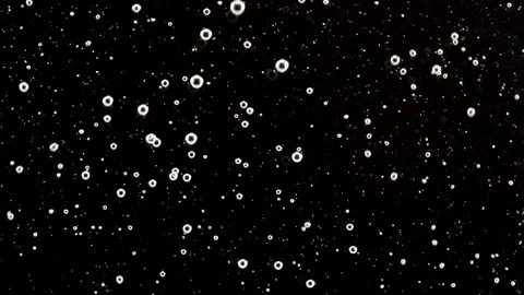 Macro Shot of Different Sized Clear Air Bubbles in Clear Water Rising up on Stock Footage 267964549