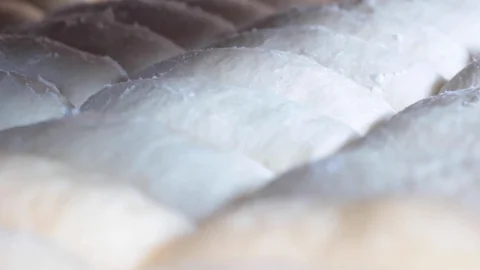 Macro shot of dough to make traditional Mexican bread called bolillo Stock Footage 130092090