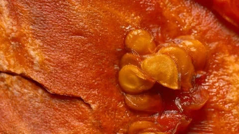 Macro shot of dried tomato camera roll Video stock 83822628