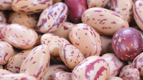 Macro shot, dried uncooked speckled pinto kidney beans (barbunya), slider shot. 動画素材 292531716