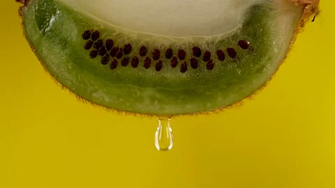 Macro Shot Drop Of Water Dripping Slice of fresh Green Kiwi and Seeds Fruit o Stock Footage 147597068