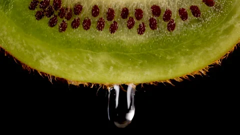 Macro Shot Drop Of Water Dripping Slice of fresh Green Kiwi and Seeds Fruit o Stock Footage 162753535