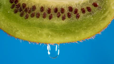 Macro Shot Drop Of Water Dripping Slice of fresh Green Kiwi and Seeds Fruit.. Video stock 318458715