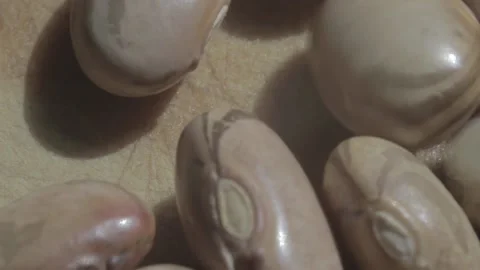 Macro shot of dry raw beans on a wood boad before being cooked Stock Footage 139425192