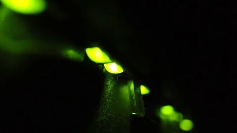 Macro shot dusty active network port switch with blinking green lights Stock Footage 111720503