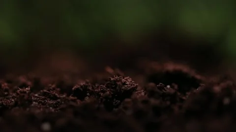 Macro shot of earth. Humus compost ground. Concept of agriculture farm, growing, Stock Footage 147265339