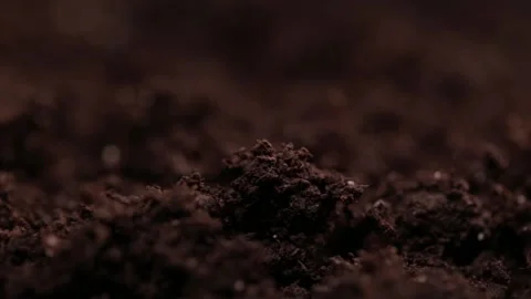 Macro shot of earth. Humus compost ground. Concept of agriculture farm, growing, Stock Footage 147265370