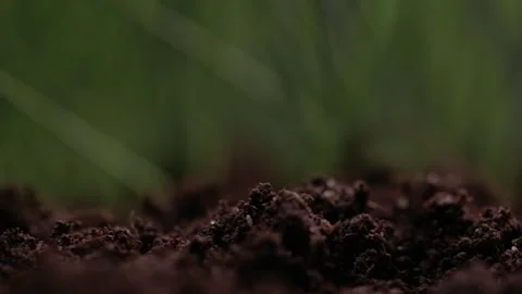 Macro shot of earth. Humus compost ground. Concept of agriculture farm, growing, Stock Footage 147265453