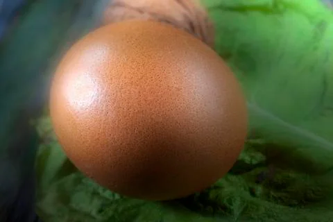 Macro Shot Of an Egg on Leave With Walnut2 Stock Photos