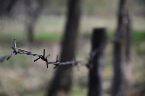 Macro shot of an element of old and rusty barbed wire with a blurred backgrou Stock Photos
