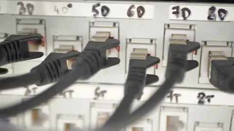 Macro Shot. Ethernet Data Cables Connected to Router Ports with Blinking Lights Video stock 205549602