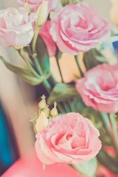 Macro shot of eustoma bouquet Stock Photos