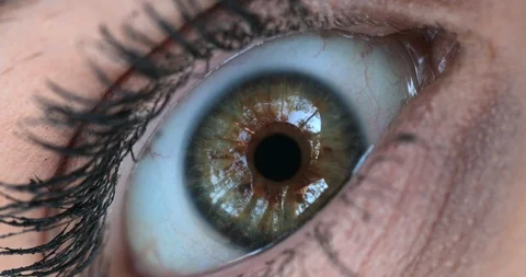 Macro shot of eyes being opened wide open in shock. Eye opening in emotional  Stock Footage 117662435