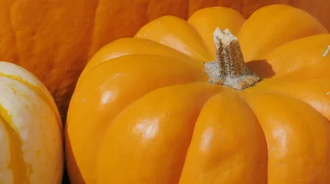 Macro Shot of Fall Pumpkins Stock Footage 68538542