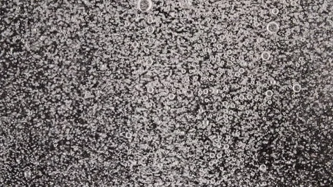 Macro shot of fine air bubbles rising in water on black background. Effervescent Stock Footage 165319274