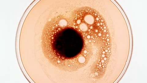 Macro shot of fine air bubbles in water in a petri dish. Close-up Effervescent Stock Footage 248640785