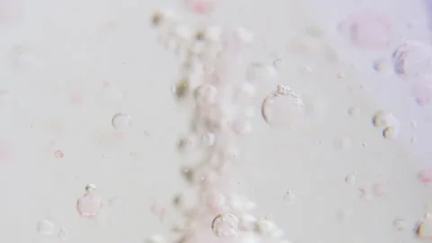Macro shot of fine bubbles rising, In A glass with pink Liquid, oil and water Stock Footage 131101921