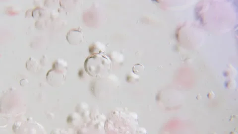 Macro shot of fine bubbles rising, In A glass with pink Liquid, slow motion Stock Footage 131102996
