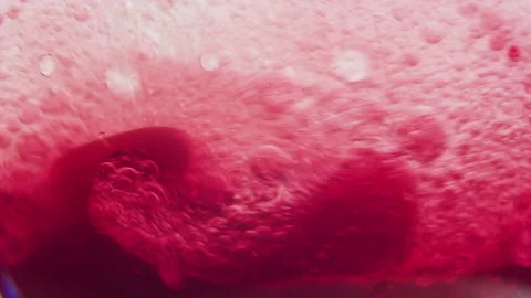 Macro shot of fine bubbles rising, In A glass with pink Liquid, slow motion Stock Footage 131109090
