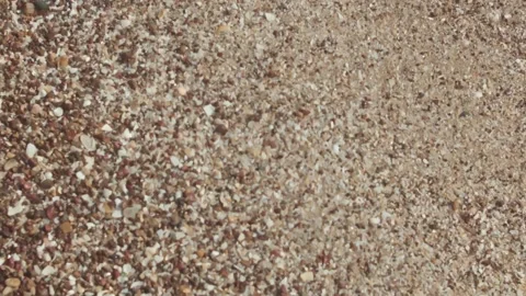 Macro shot of finely crushed seashells on a sunlit beach surface, full texture Stock Footage 306045249