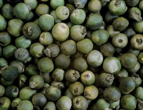 Macro shot of forest green pepper from south india in details and with high Stock Photos
