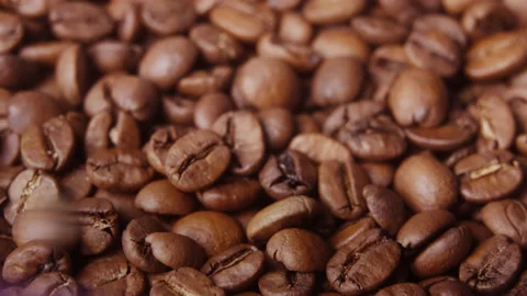 Macro shot of fresh, aromatic coffee beans. Natural background. Stock Footage 148476023