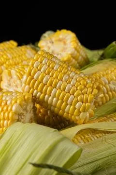 Macro shot of fresh raw corn cobs with green leaves. Stock Photos