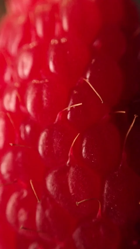 Macro Shot of Fresh Red Raspberry Drupelets Stock-Footage 345538514