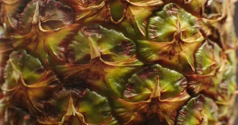Macro shot of a fresh ripe pineapple. Stock Footage 156415339