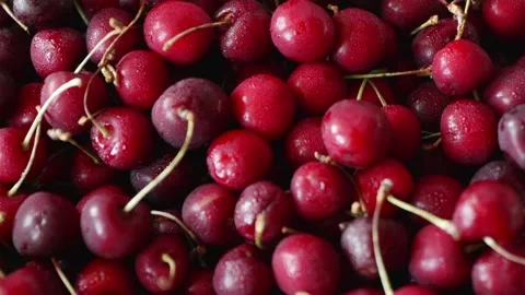 Macro shot of fresh sweet cherries covered with water drops Stock Footage 338395400
