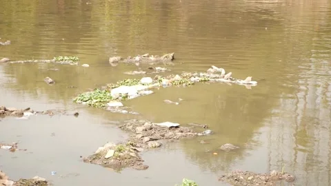 Macro shot of garbage in  still water, Footage of water pollution Vídeo Stock 148540224