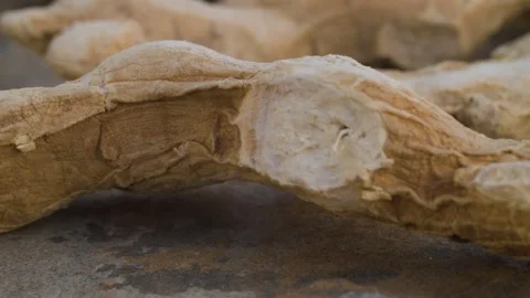Macro shot of ginger roots Stock Footage 137776374