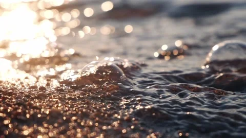 Macro shot of glistening water bubbles reflecting golden sunset light Stock Footage 337409056