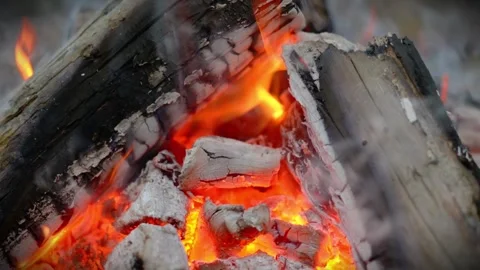 Macro shot of glowing hot embers and burning wood in a fire pit. Stock-Footage 341977835