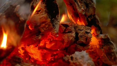 Macro shot of glowing hot embers and burning wood in a fire pit. Video stock 341977896