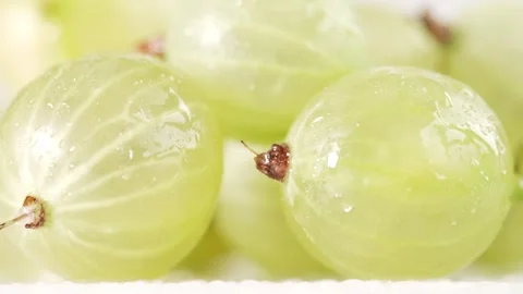 A macro shot of gooseberries with raindrops falling on them. The vibrant gr.. Stock Footage 312976694