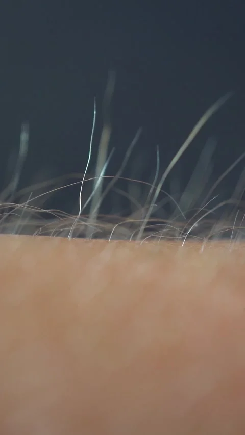 Macro Shot of Goosebumps During Sunset Stock Footage 283387848