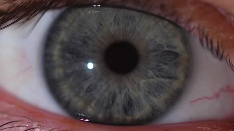 Macro shot of the gray pupil of the human eye in slow-motion 스톡 동영상 171592047