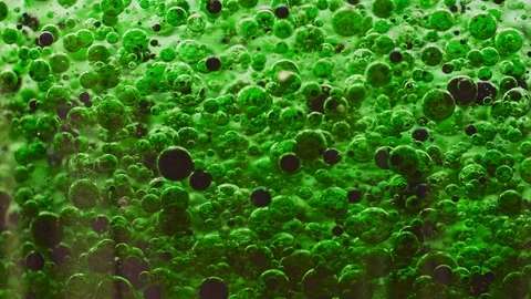 Macro shot of green and dark bubbles slowly falling to ground in water Video stock 124671116