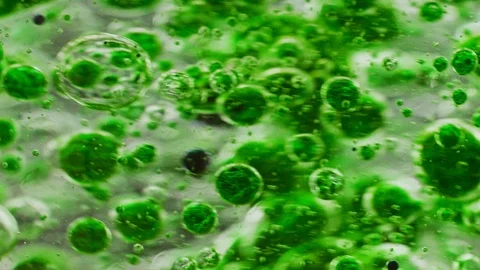 Macro shot of green bubbles floating around in water Video stock 124671167